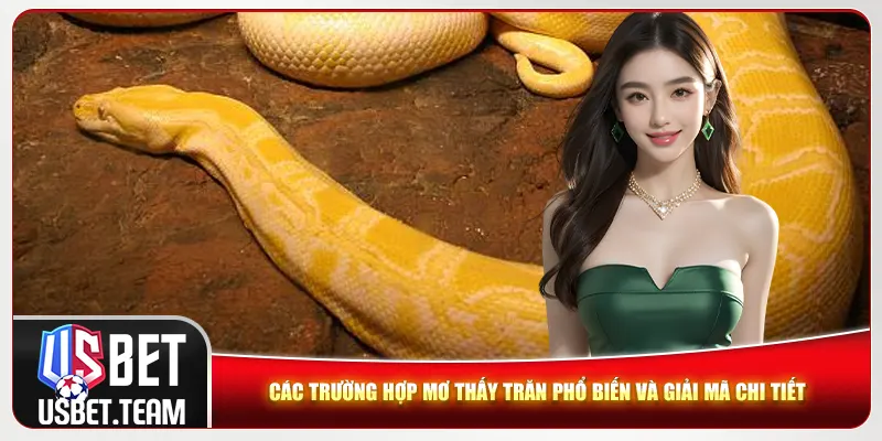 Các trường hợp mơ thấy trăn phổ biến và giải mã chi tiết