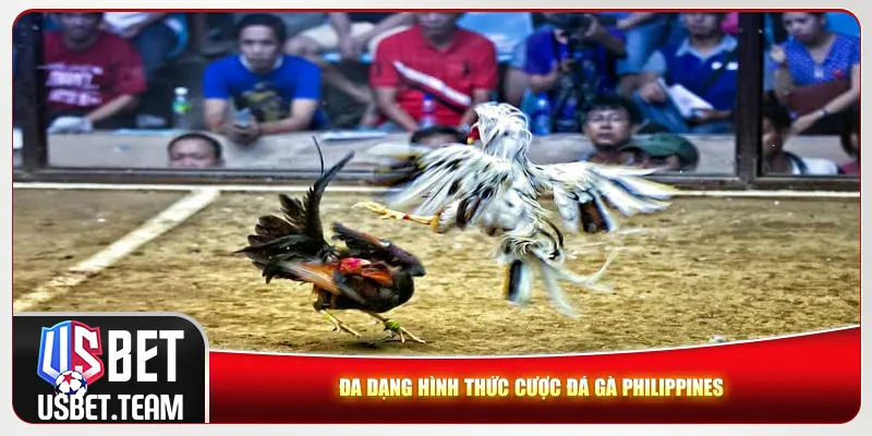 Đa dạng hình thức cược đá gà Philippines