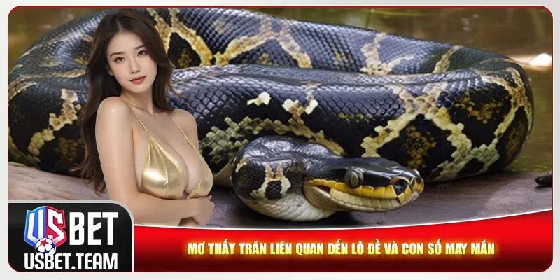 Mơ thấy trăn liên quan đến lô đề và con số may mắn