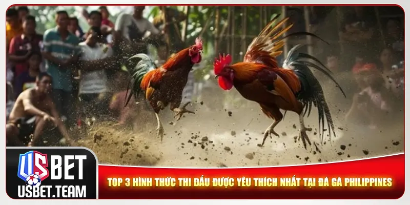 Top 3 hình thức thi đấu được yêu thích nhất tại đá gà Philippines