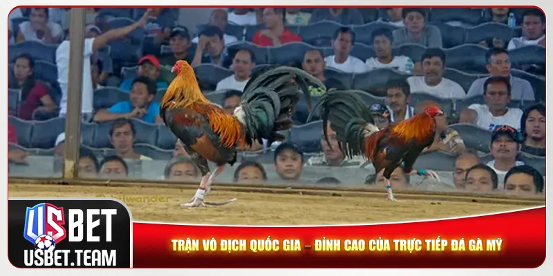 Trận vô địch quốc gia – Đỉnh cao của trực tiếp đá gà Mỹ